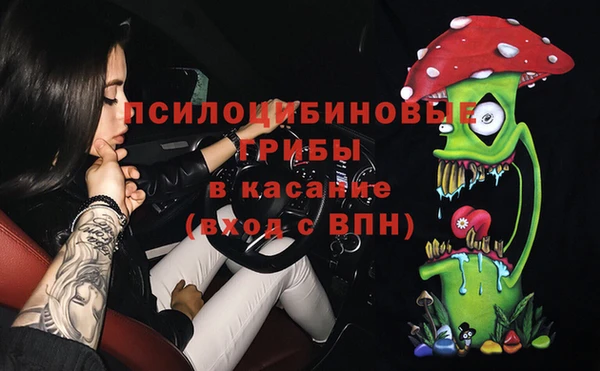 гидропоника Армянск
