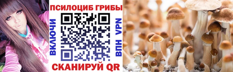 Галлюциногенные грибы ЛСД  Купить  Мыски 
