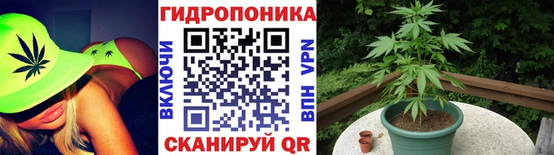 Бошки Шишки гибрид  Купить  Мыски 